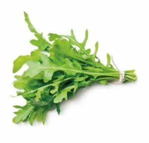 Rucula